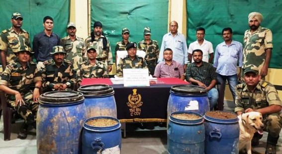 BSF Seized Ganja, other Contraband items worth Rs. 23.60 Lakhs